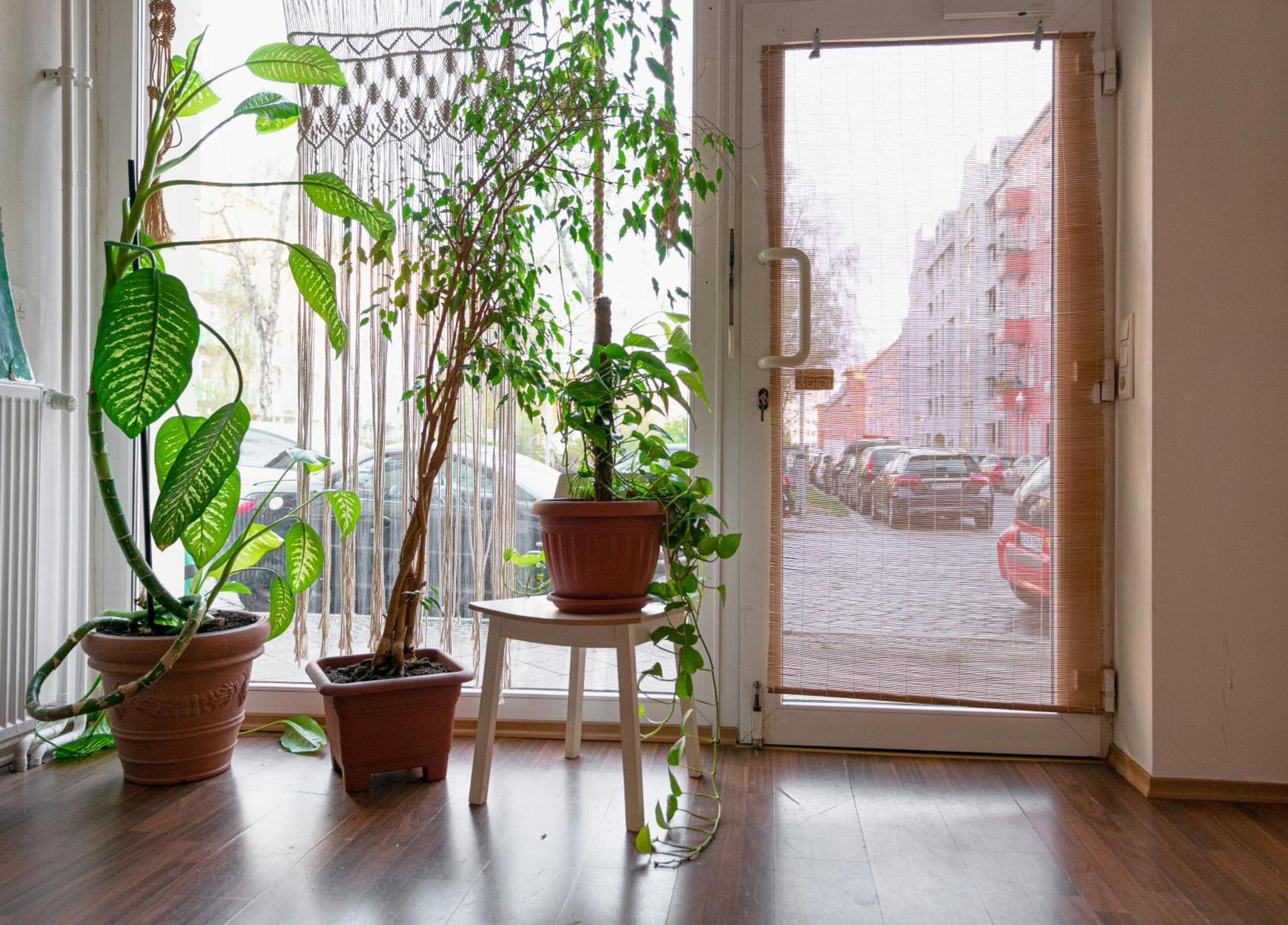 Boutique Altbau Apartment Berlin Exterior photo